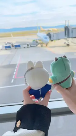 ぬいぐるみ振り向き界隈🧸