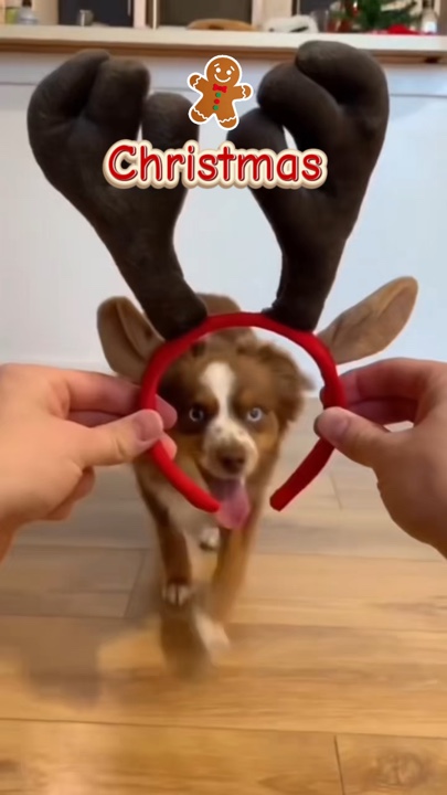 Mascota navideña