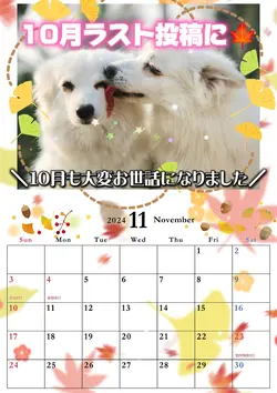 11月もよろしくお願いします②