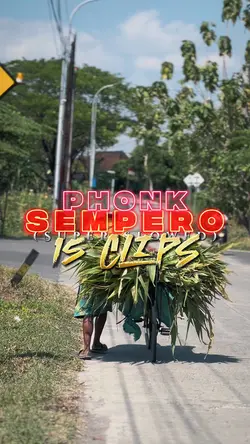 PHONK SEMPERO HD 