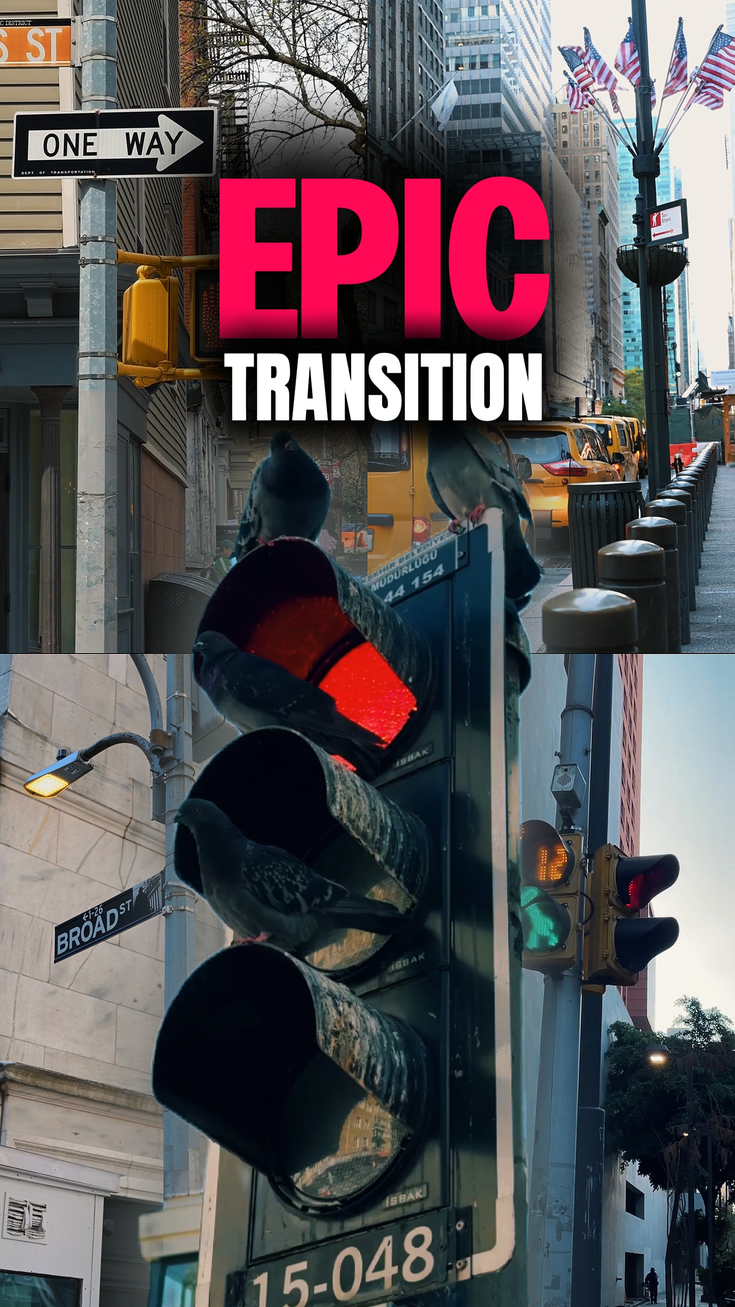 epic transition 