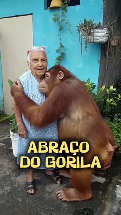 Abraço do Gorila