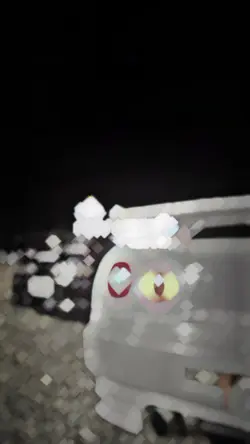 ....