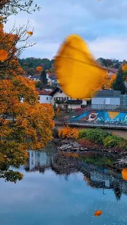 autumn