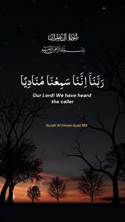 Surah Al-Imran 163