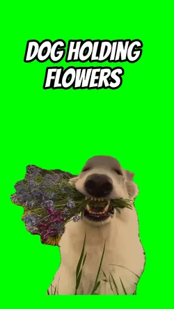 Dog holding flowers 