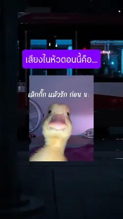 เลิกกั๊ก แล้วรัก