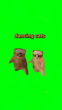 dancing cats 