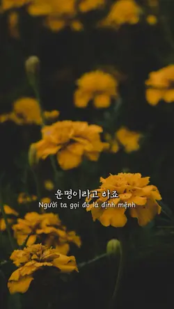 인연 - 이선희