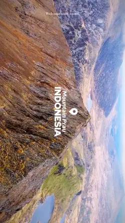 travel drone