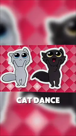 Cat dance