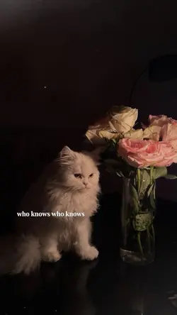 Who knows