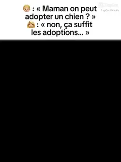 pov t adopté 
