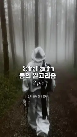 Spring Algorithm  