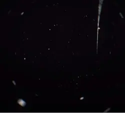 𝓓𝓪𝓲𝓼𝔂 𝓽𝓱𝓮 𝓭𝓸𝓷𝓴𝓮𝔂