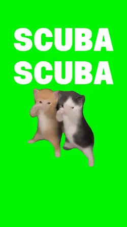 Cat template