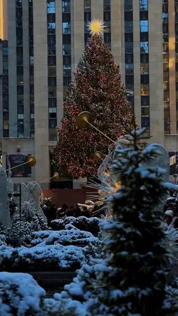 MERRY CHRISTMAS