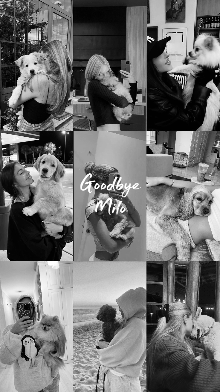 Goodbye Milo
