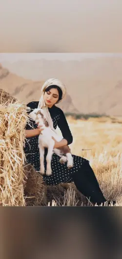 harika Kürtçe şablon