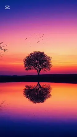 カードポイントのテンプレート