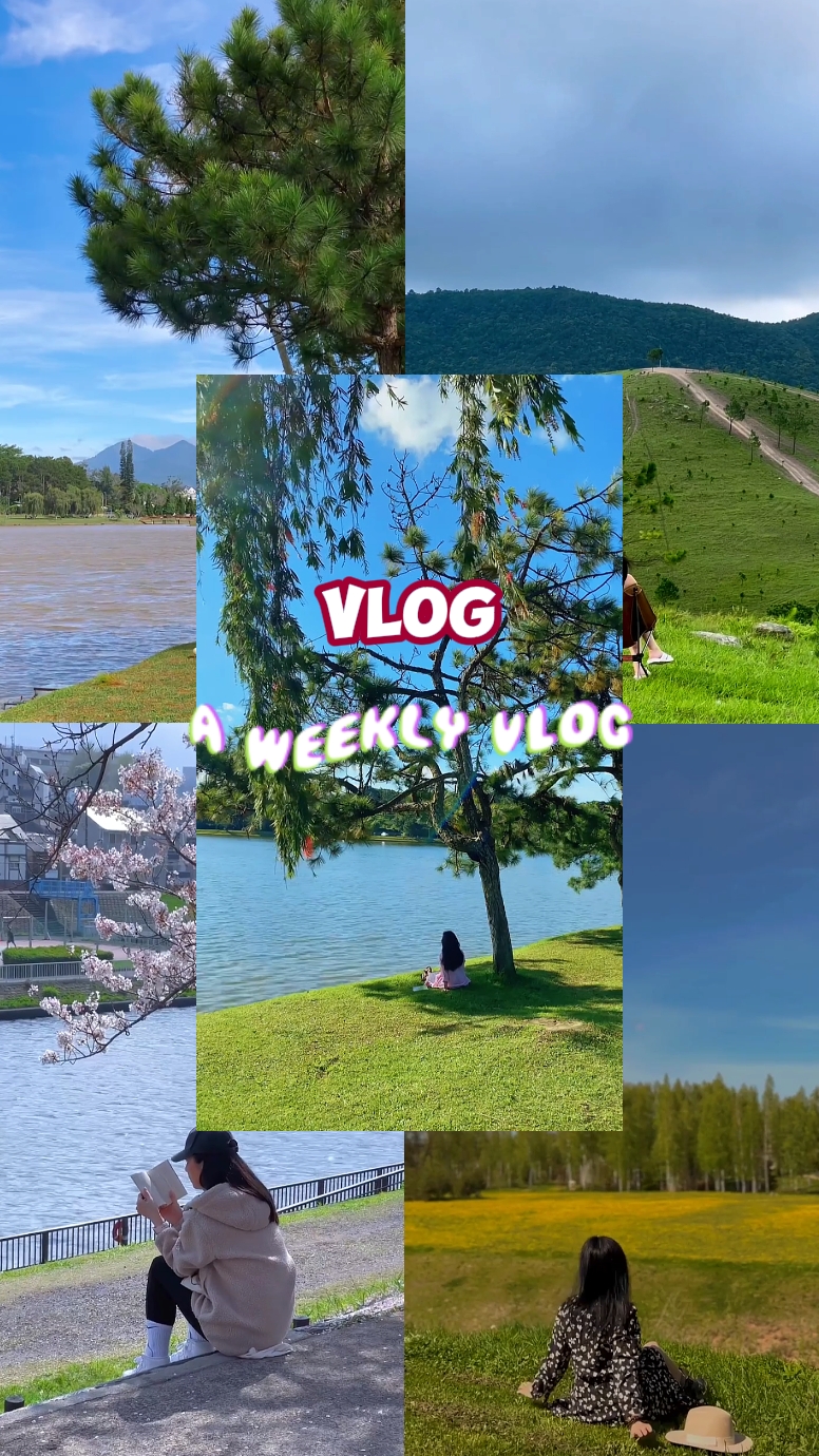Vlog