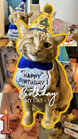 HBD MY CAT
