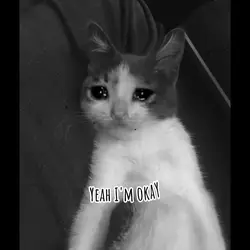 Yeah I'm okay I'm f