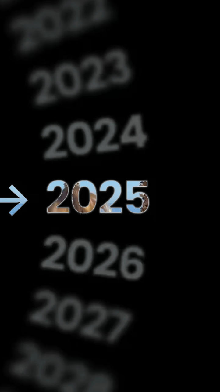 365 dias em 2025