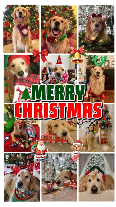 Feliz Navidad