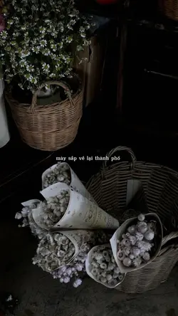 MẪU 1 PIC