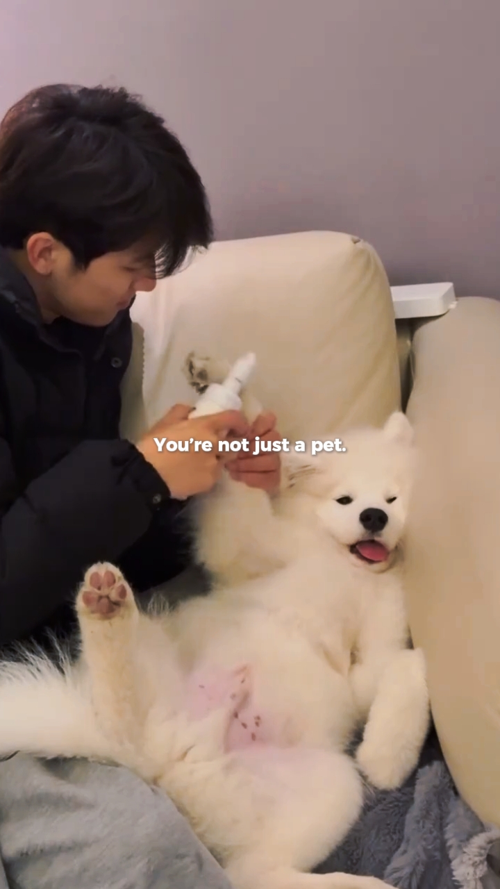 No eres solo una mascota.