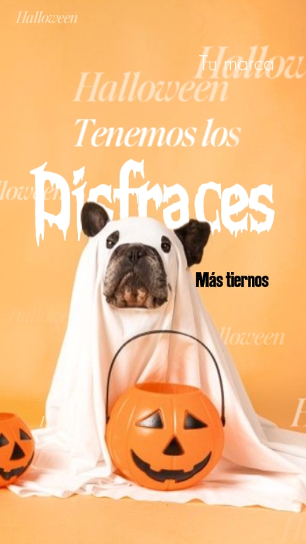 Disfraces mascotas 