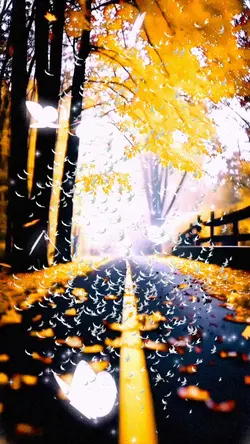 🍁NatuRe🍁
#nature #am