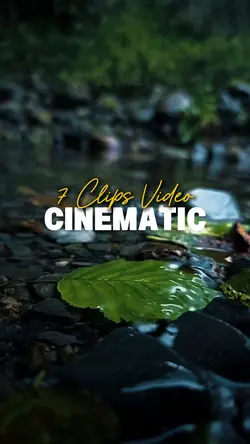 7 Clips Video 