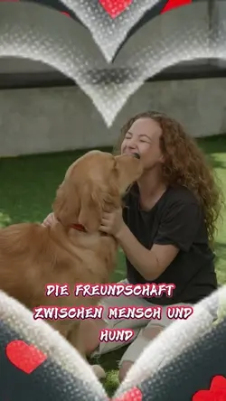 Mensch und Hund ❤️