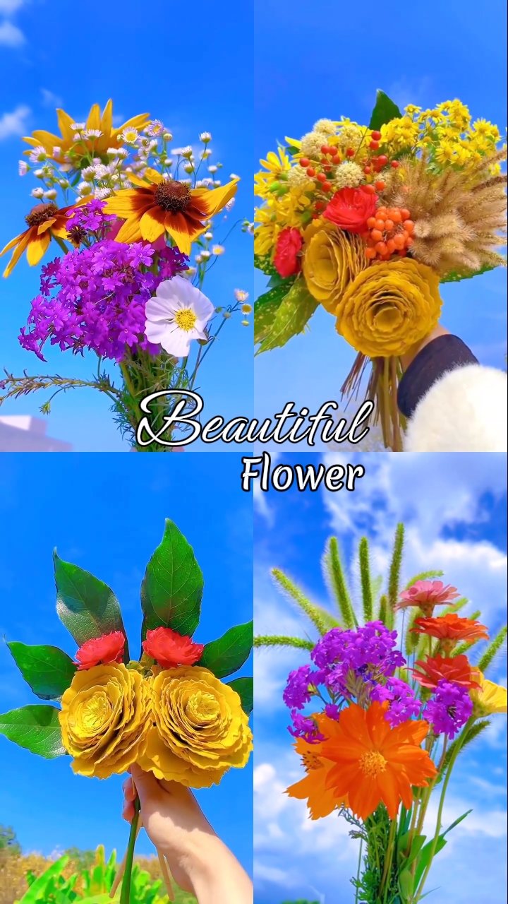 Hermosa Flor