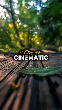 13 CLIPS VIDEO 