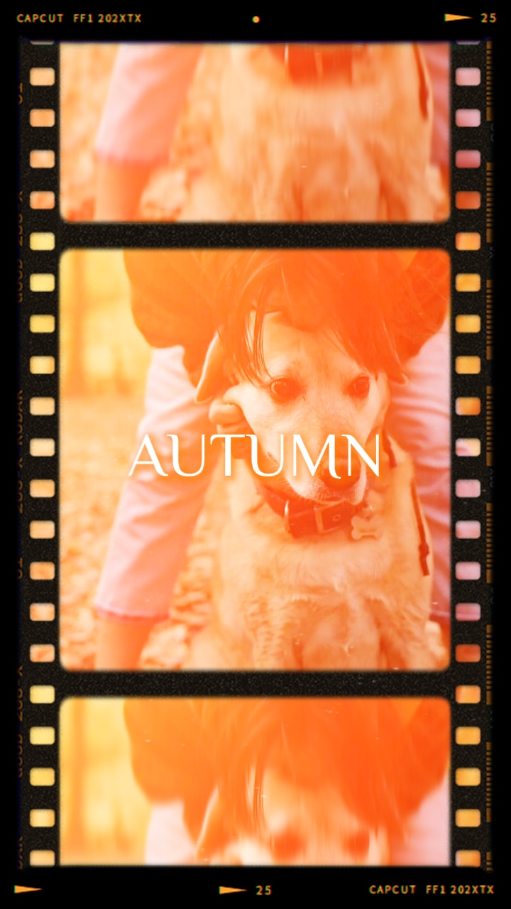 AUTUMN VLOG 