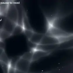 m'y WhatsApp channel