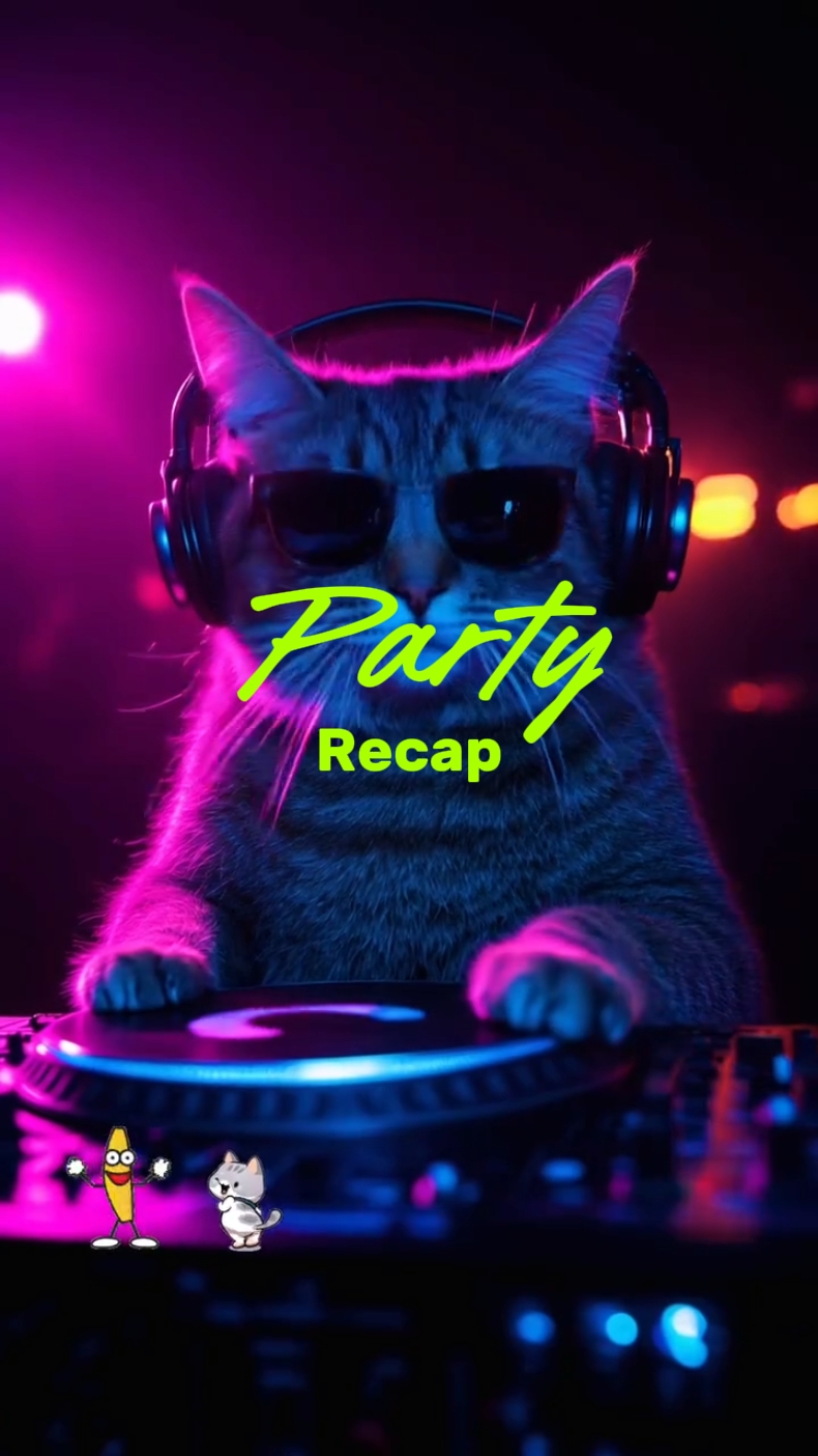 Resumen de la fiesta