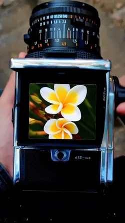 Photo grafik ultra