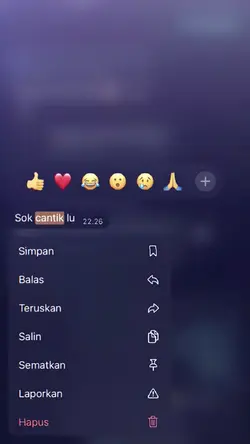 sok cantik lu