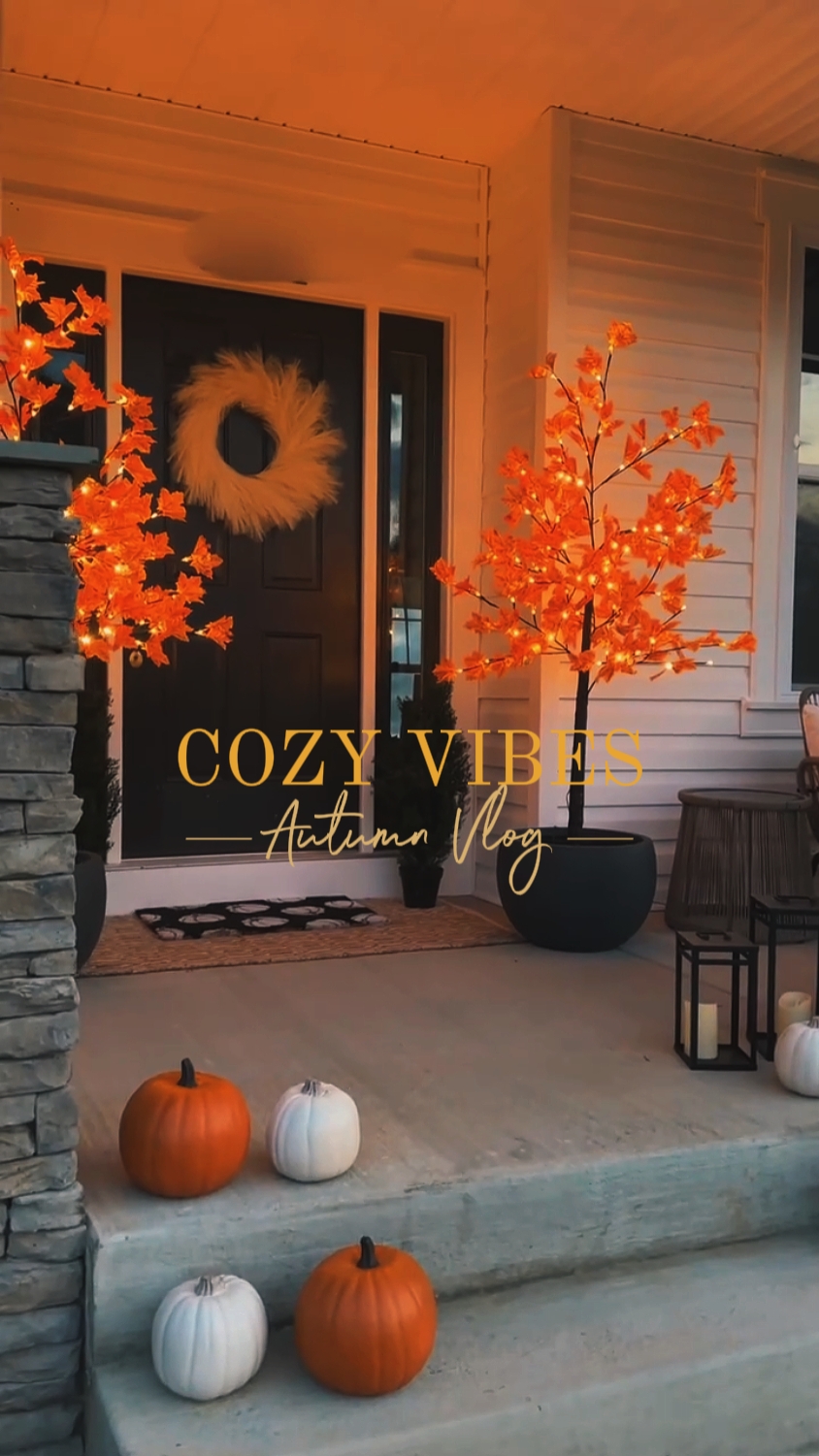 COZY VIBES