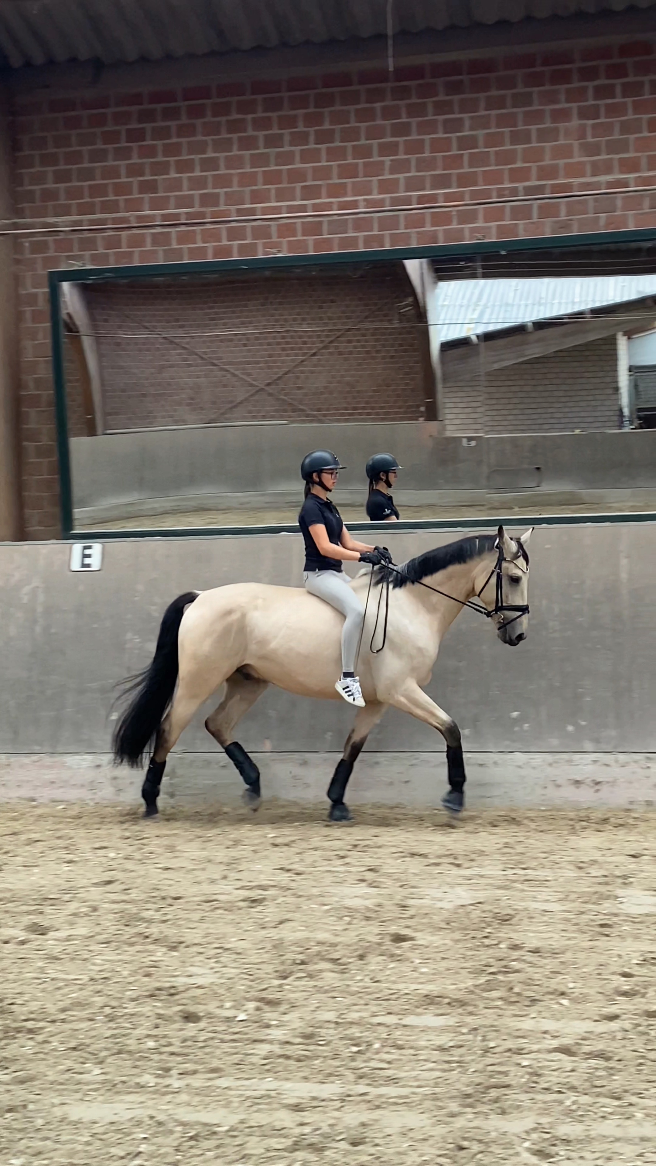 BAREBACK SLOMO 4K 😻💘