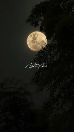 night vibes 