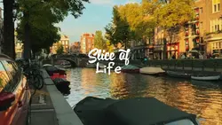 Slice of life