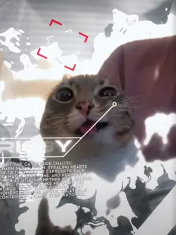 NEW EDIT MASTER