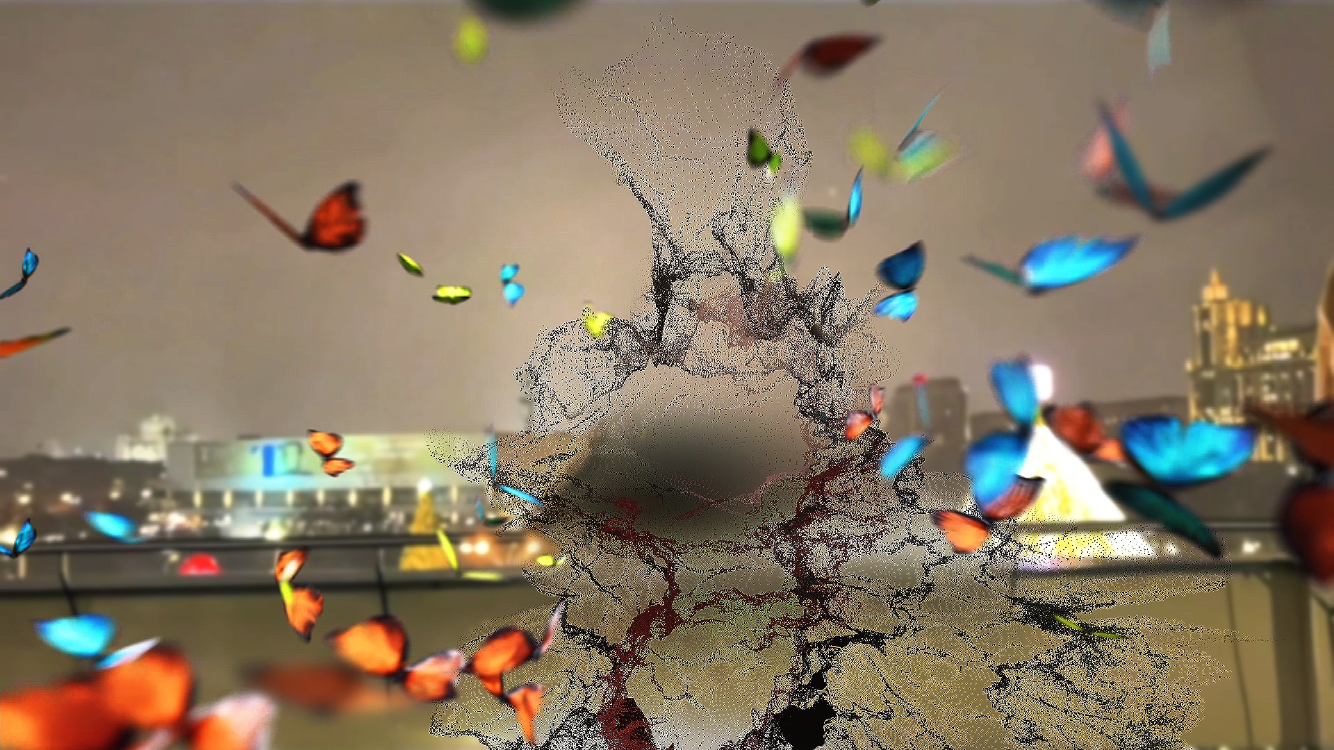 Cover Picture