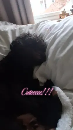 So cute!!!