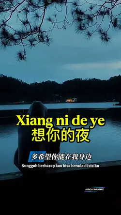 想你的夜 xiang ni de ye